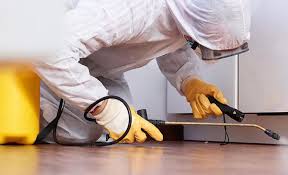 Best Residential Pest Control  in Winsted, MN